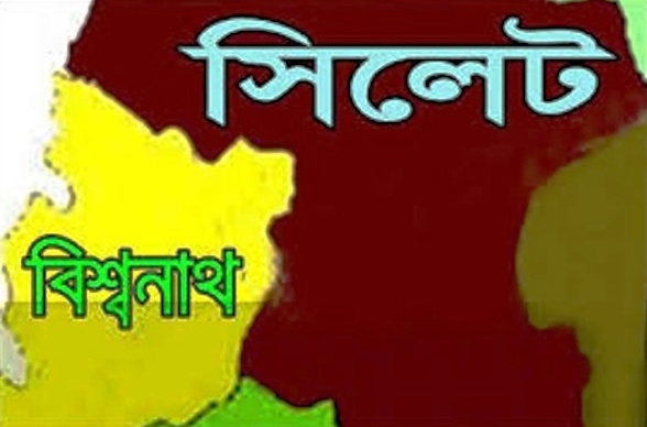 সিলেটের বিশ্বনাথে প্রবাসীদের অর্থায়নে প্রতিষ্ঠিত হতে যাচ্ছে ওয়ান-পাউন্ড-হসপিটাল