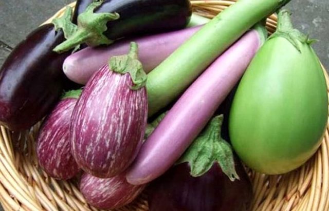 বেগুনে রয়েছে উচ্চ রক্তচাপ, ডায়াবেটিস, হার্টের সমস্যার সমাধান