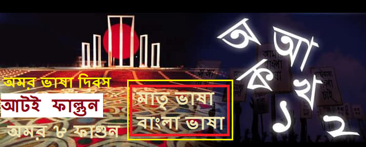 বাংলা ভাষা নিয়ে শুয়েব আহমেদ শওকতির ভাবনা