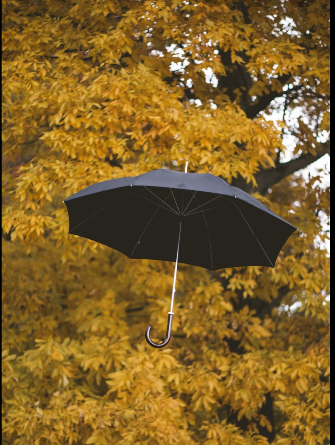 নিস্তব্ধতা – গোলাম কিবরিয়া