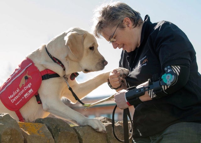কুকুর খুঁজবে করোনা