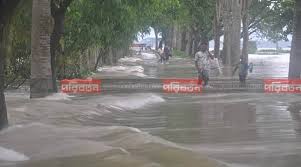 গোয়াইনঘাটে পাহাড়ি ঢলে ফের বন্যা: কয়েক’শ হেক্টর জমির ফসল পানির নিচে
