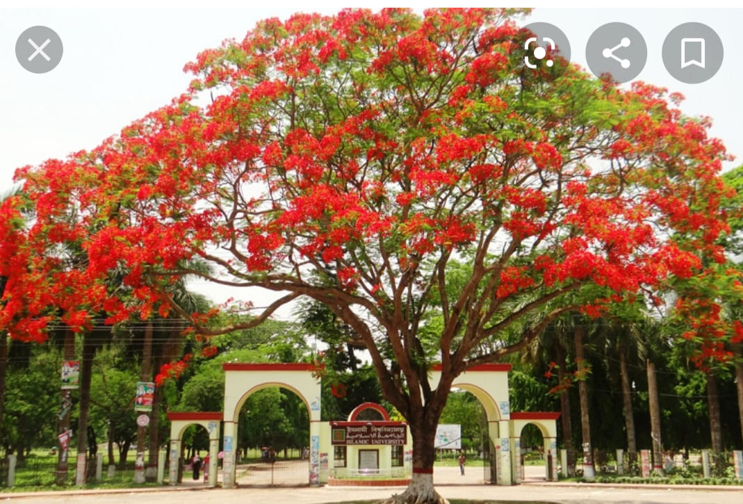 ভালবাসা – গোলাম কিবরিয়া