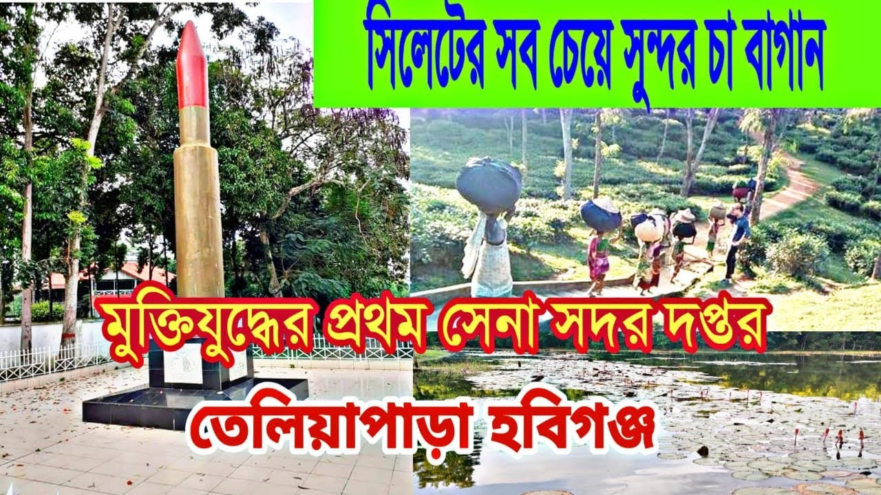‘মুক্তিযুদ্ধের টার্নিং পয়েন্ট তেলিয়াপাড়া’ – কর্ণেল মোহাম্মদ আবদুল হক, পিএসসি (অবঃ)